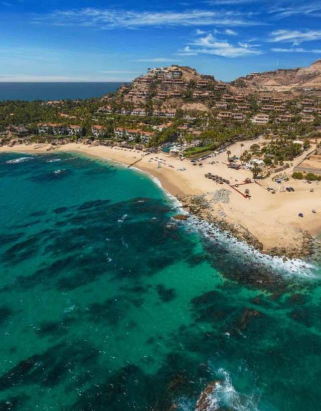 Palmilla_I9A0537-medium-1024x683