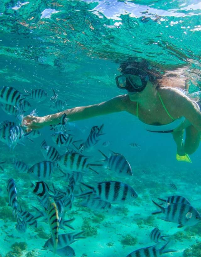 Snorkeling