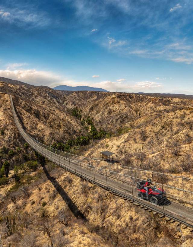 Wild Canyon