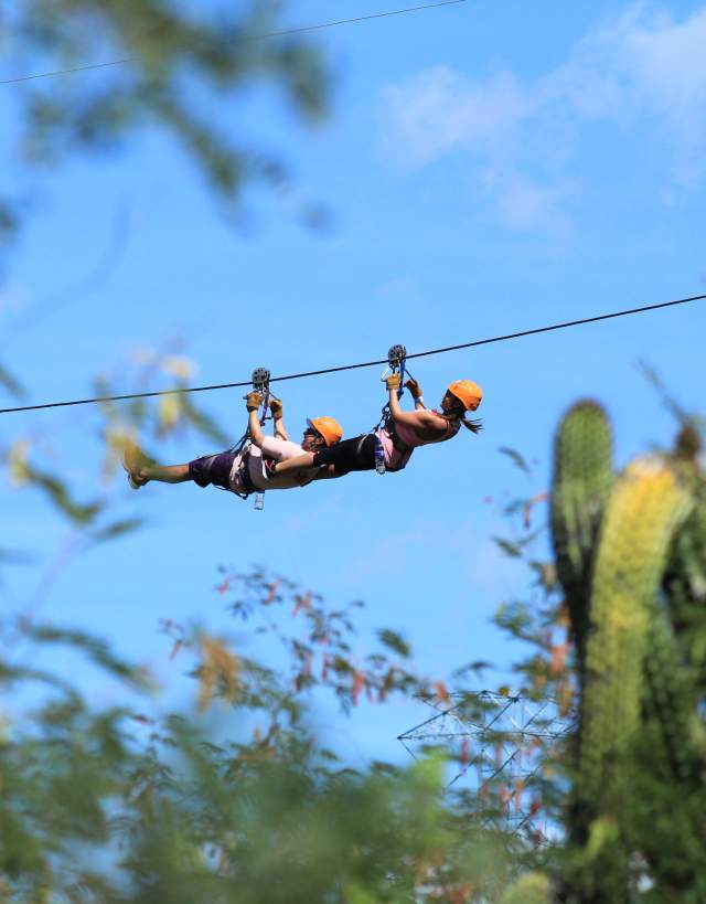 Zipline