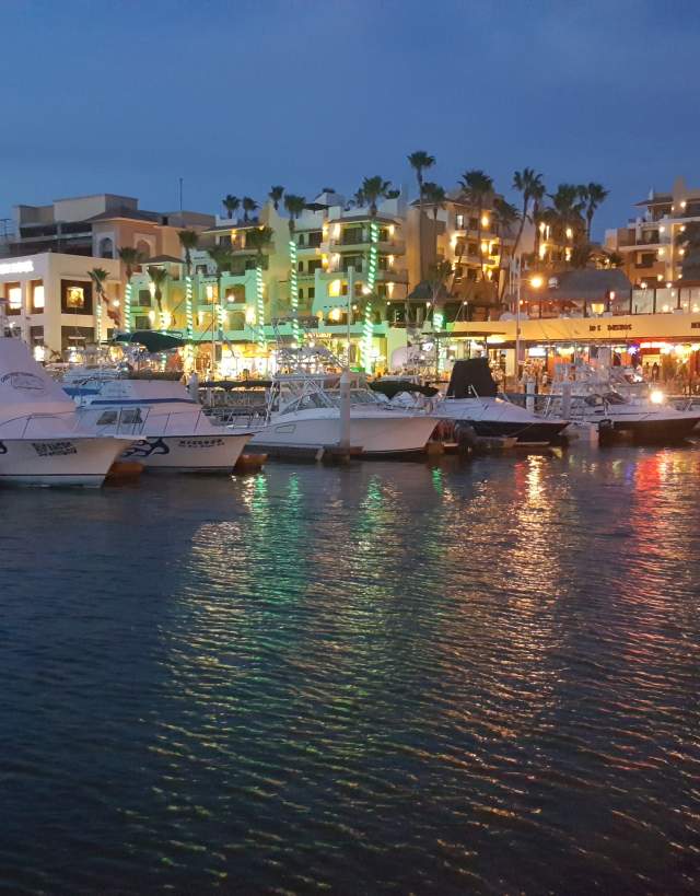 marina at night