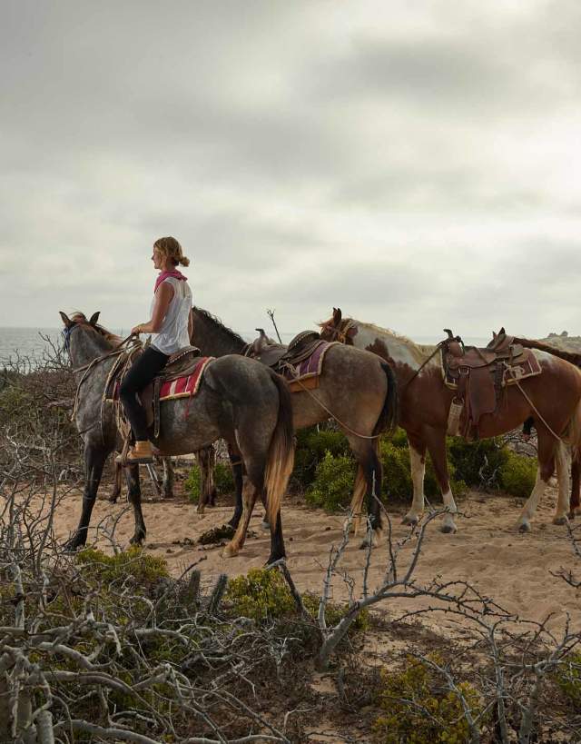 migriño carisuva ranch