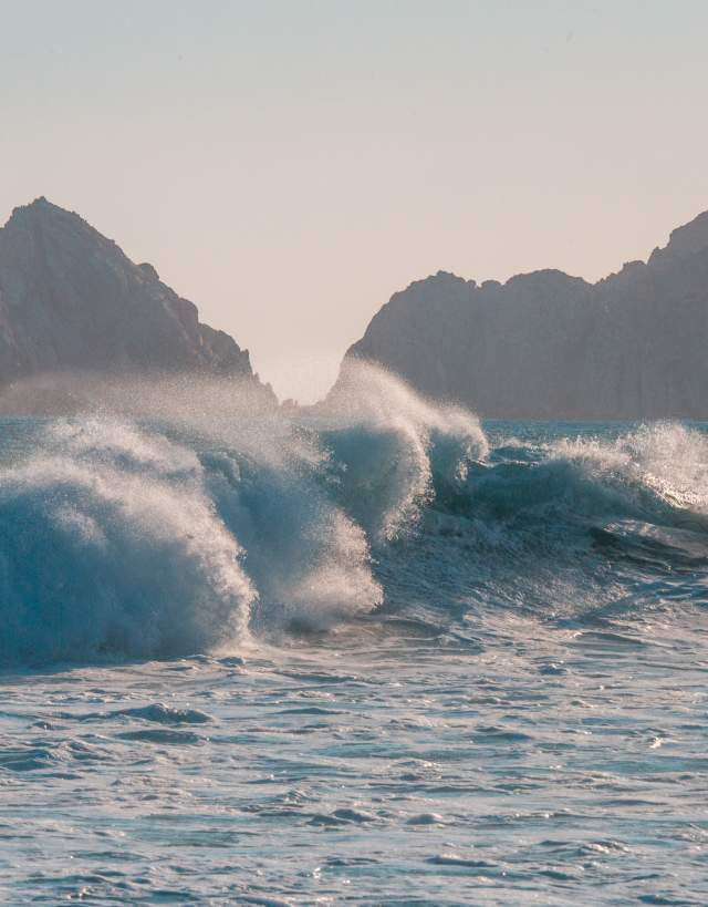 surfer arch