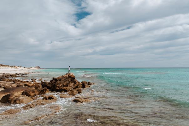 foto panorámica de los cabos