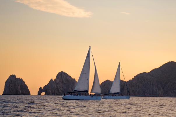 Experiencias naturales en Los Cabos