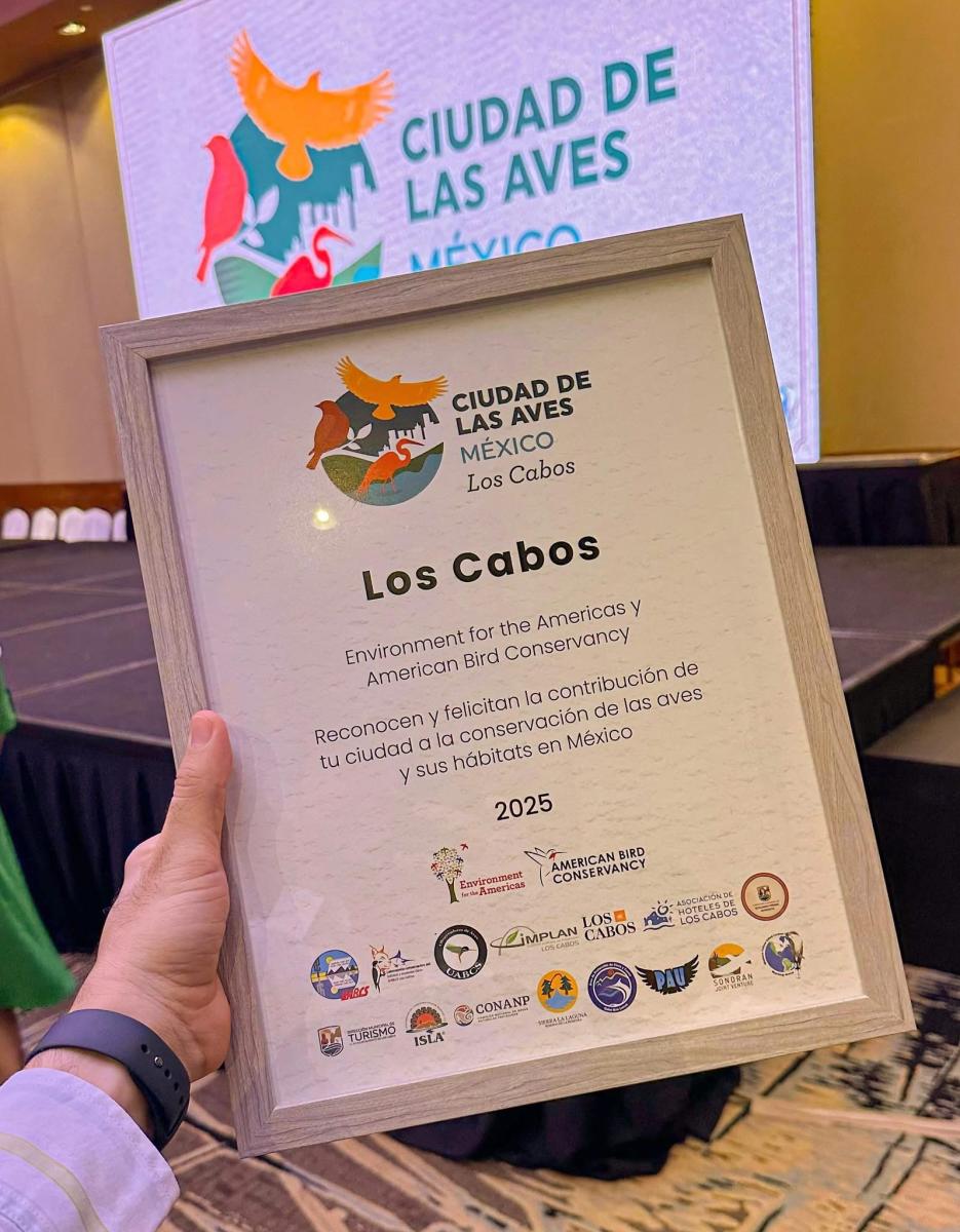 Bird City Reconocimiento