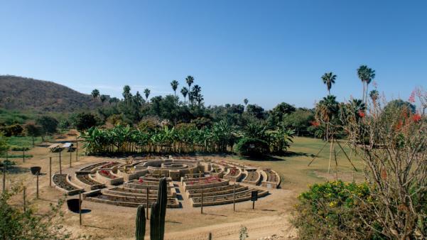 Los Tamarindos - Farm-to-table