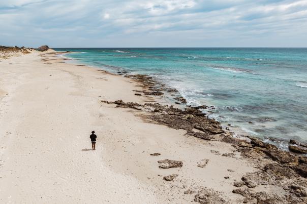 Santuarios, Parques y Reservas Naturales de Baja California Sur