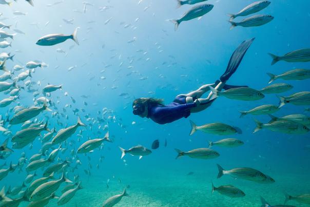 A woman snorkeling among fishes in Los Cabos, Mexico