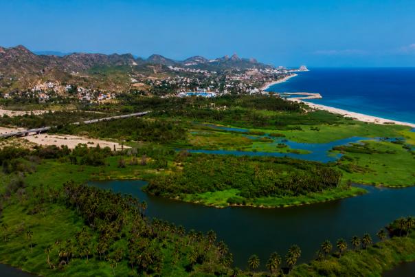 Vista natural del Estero de San José del Cabo con vegetación, agua y aves en uno de los humedales más importantes de Baja California Sur.