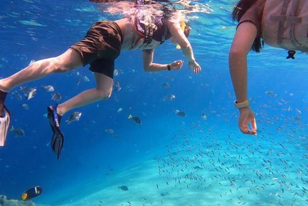 cabo natura una empresa de ecoturismo en los cabos liderada por mujeres