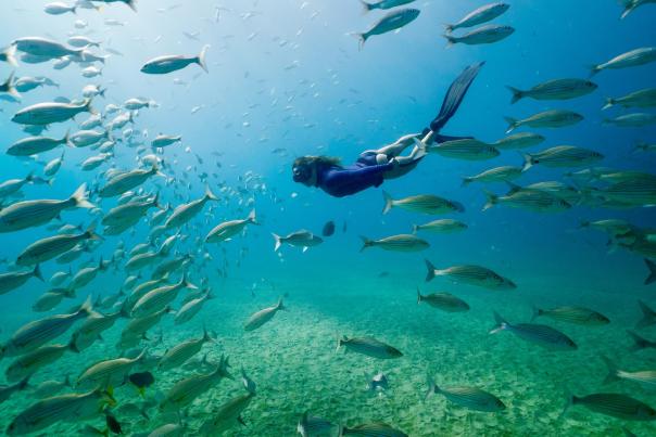 mujer haciendo snorkel en cabo pulmo