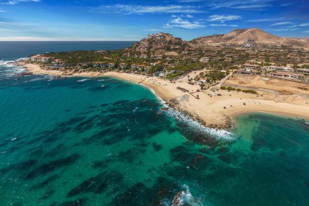 Palmilla_I9A0537 medium