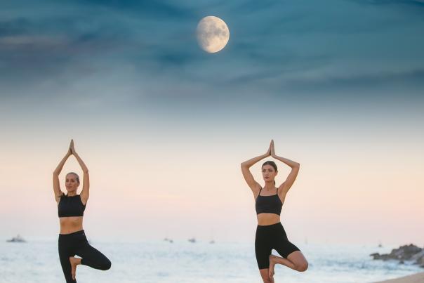 Wellness Header