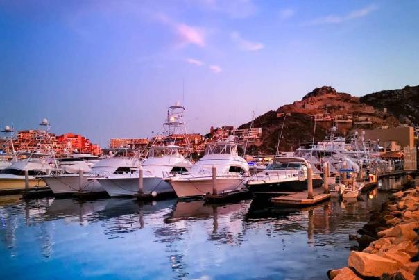 brandao_levir_67711301_126826228571980_3480247690564155154_n