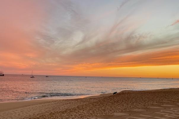 captivating baja