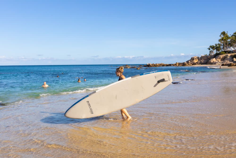 Haz el mejor itinerario los cabos