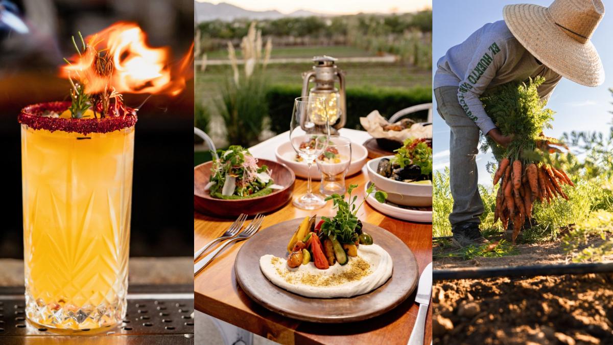 A three-panel collage showcasing the farm-to-table experience at El Huerto: a vibrant yellow cocktail with a flaming rosemary garnish, a spread of farm-fresh dishes on an outdoor table at sunset, and a farmer harvesting a large bunch of carrots in a sun-drenched field.