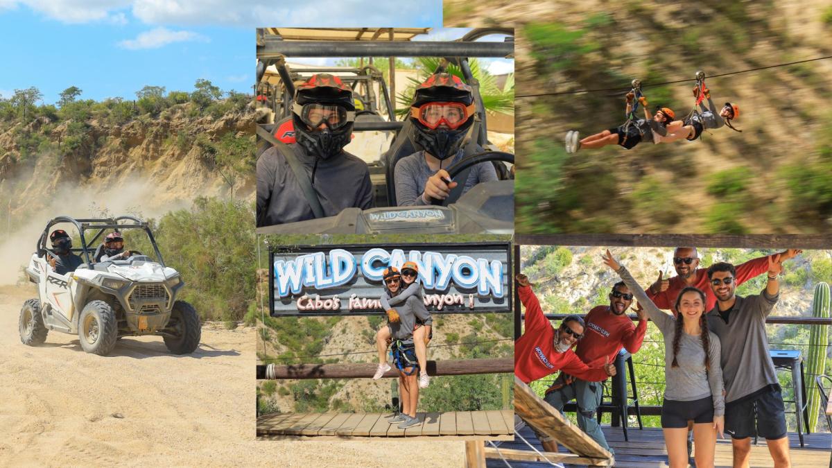 An action-packed collage from Wild Canyon Adventures featuring ATV trail riding, tandem ziplining, and group photos.