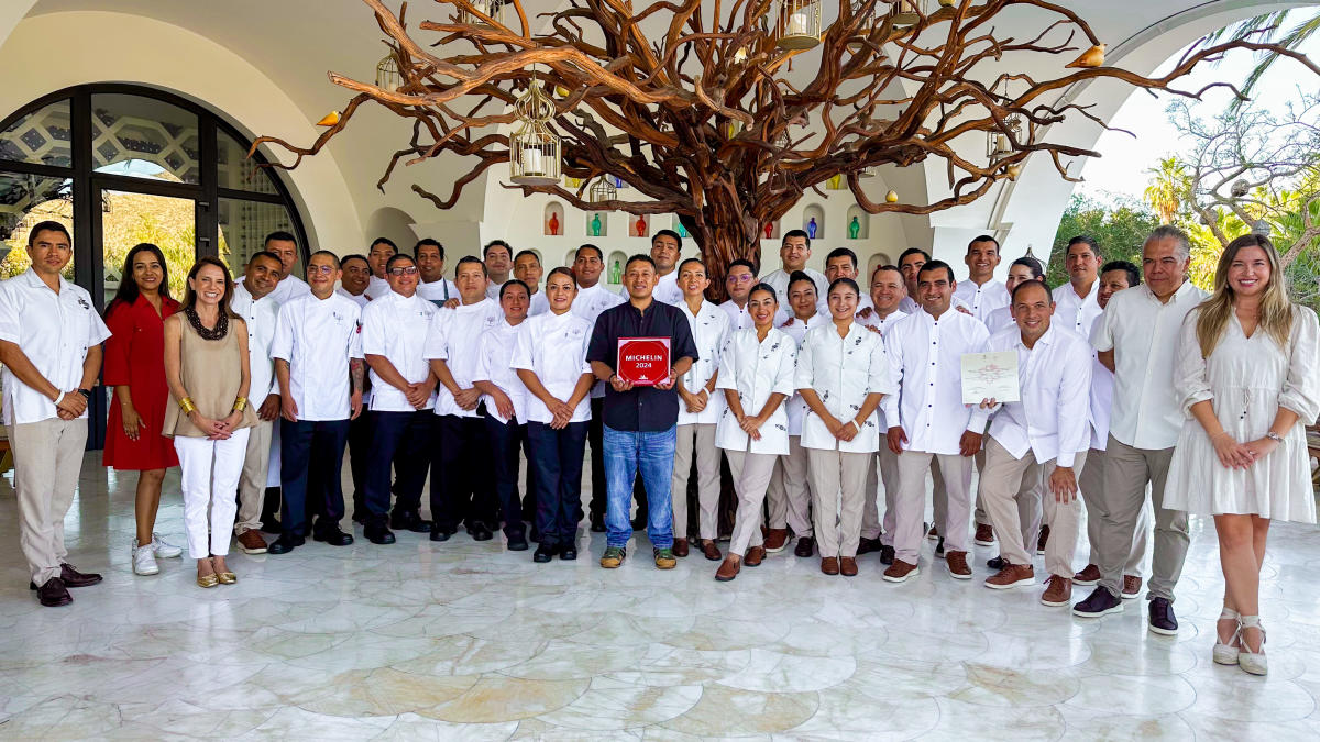 ARBOL PLACA MICHELIN
