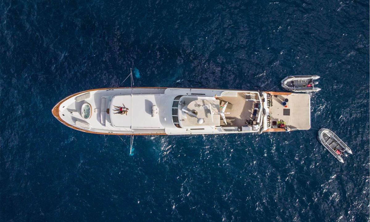 Tailored Excursions 4