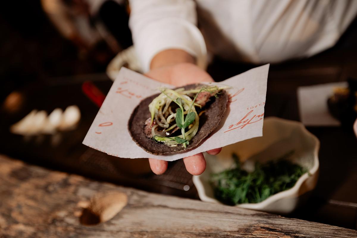 Anima village 6 Opening