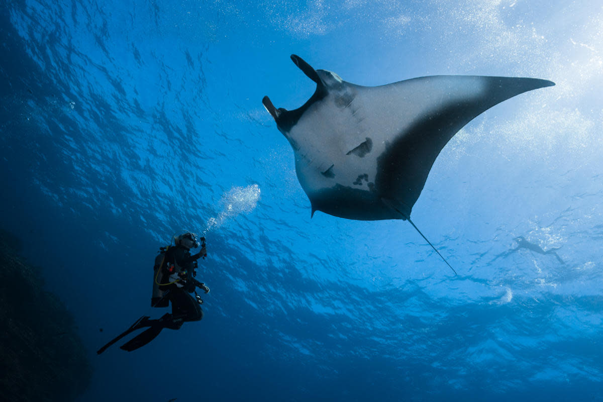 Scuba 2
