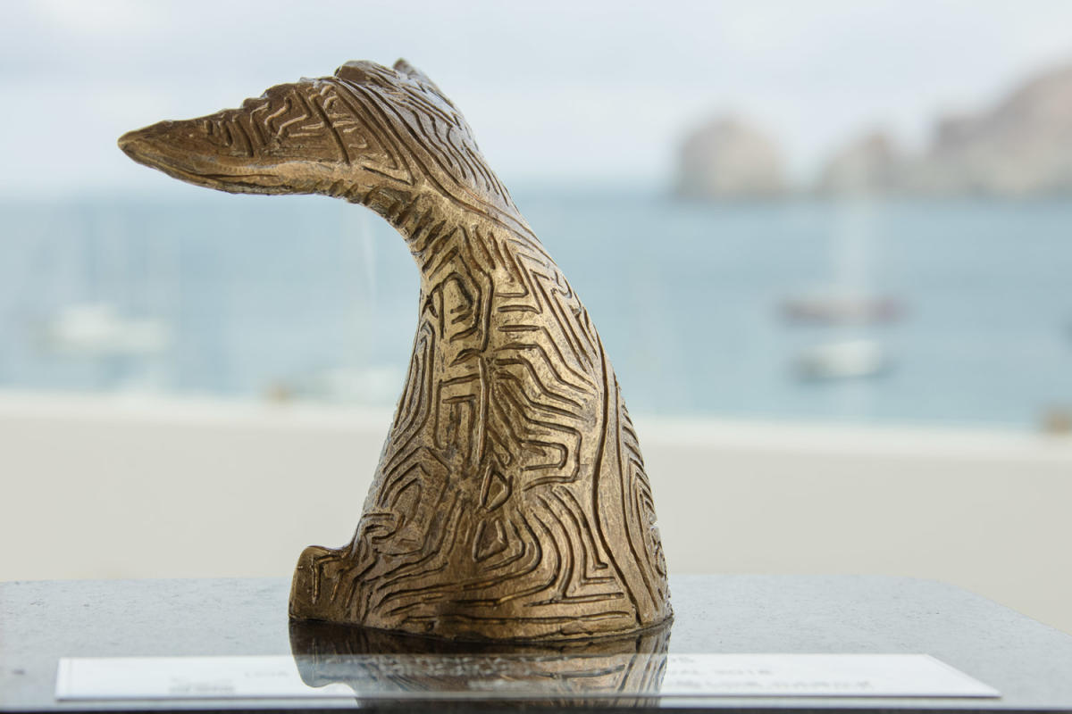 Los Cabos international film festival