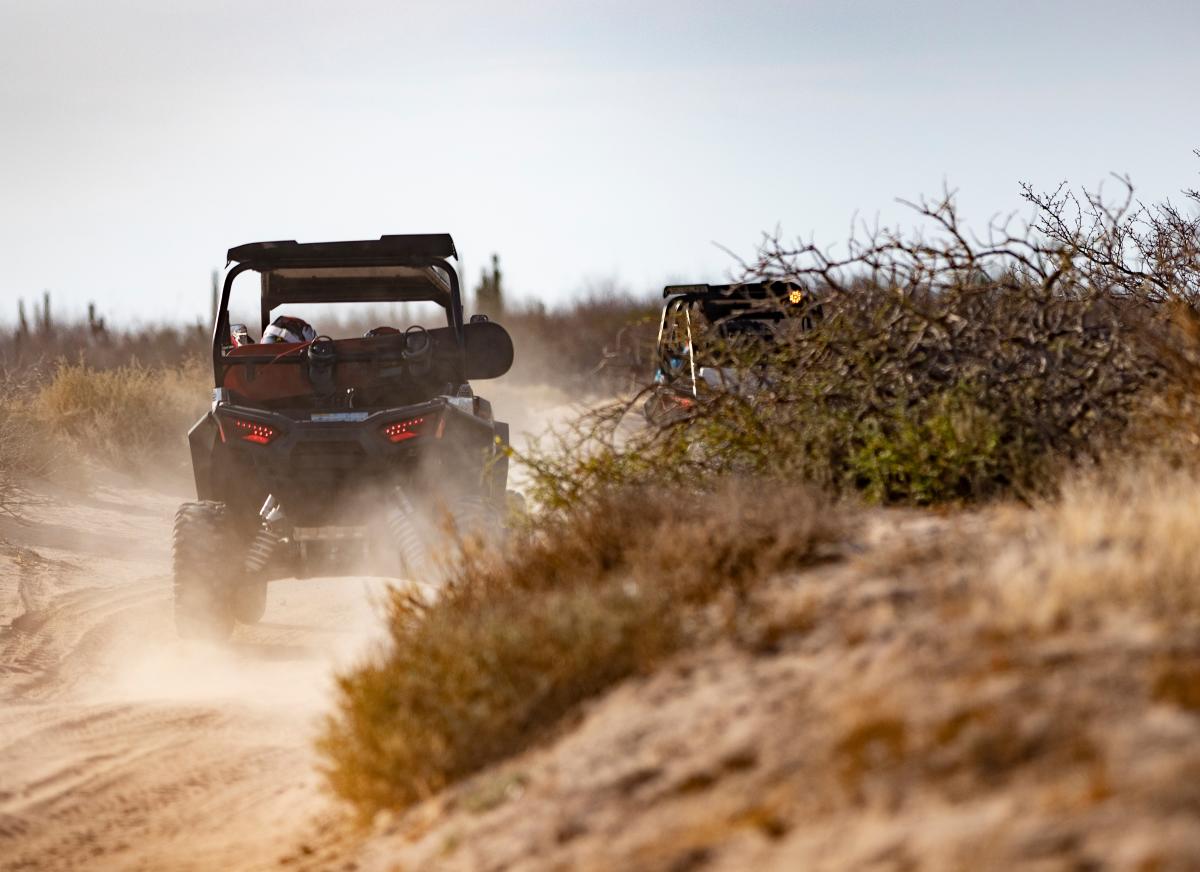 Dune Buggy in La Paz
