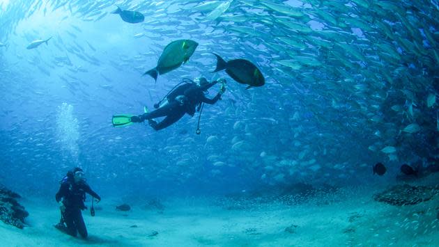 Things to Do in Los Cabos | Activities Travel Guide