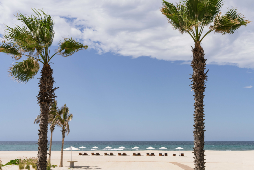 Beach Luxury.jpg