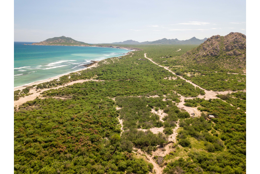 Cabo Pulmo Sea and Land.jpg