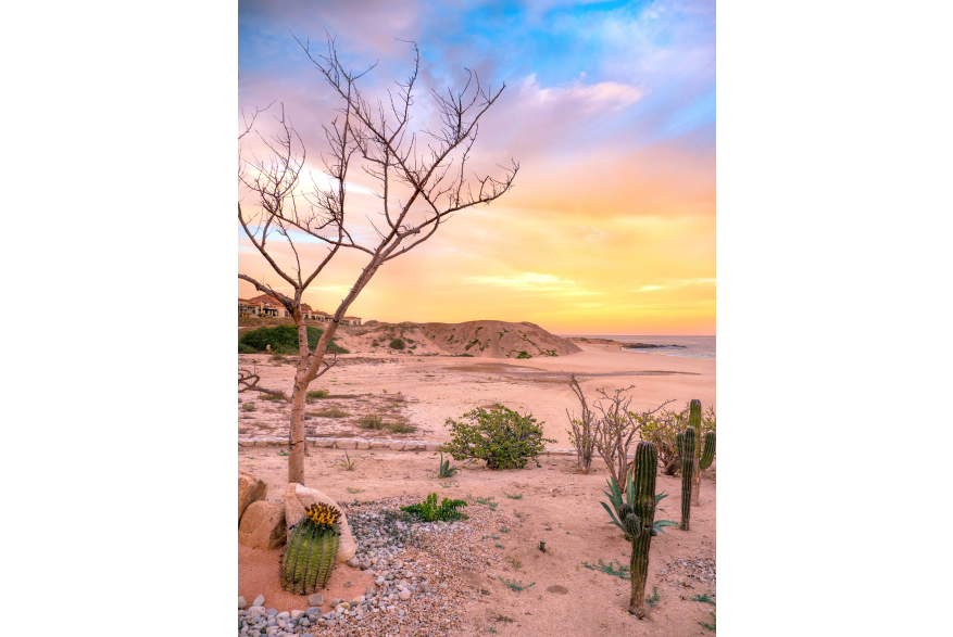 Desert.jpg