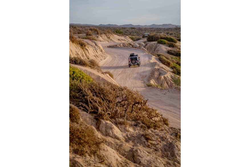 East Cape(2).jpg
