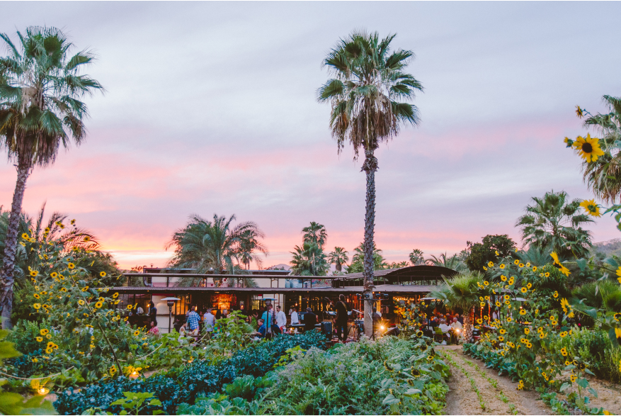 Farm to Table .jpg