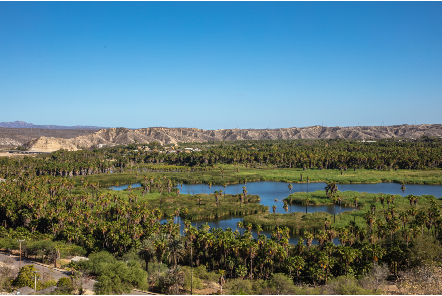 Oasis de Santiago.jpg