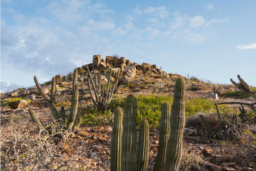 Punta Lobos Mountain.jpg