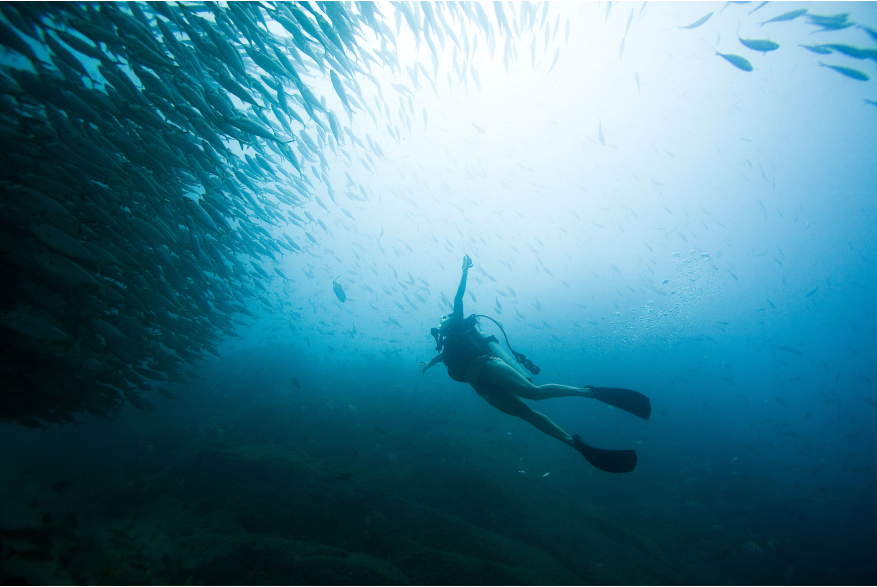 Scuba Cabo Pulmo.jpg