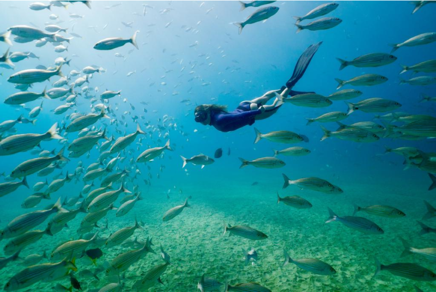 Snorkel.jpg