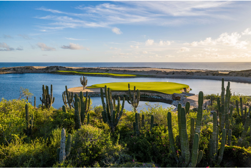 Solmar links.jpg