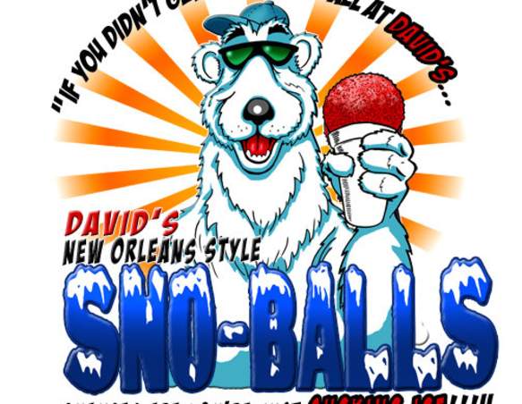 David's New Orleans Style Sno-Balls