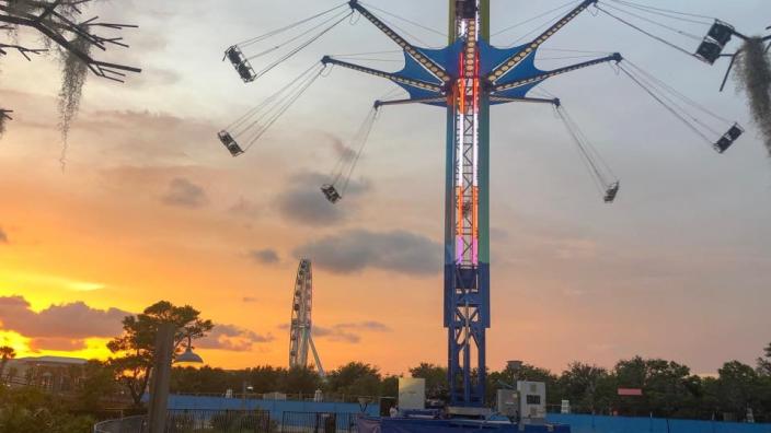 シュライヒ　フラミンゴ 楽天市場】シュライヒ フラミンゴの通販