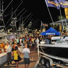 Billfish Tournament