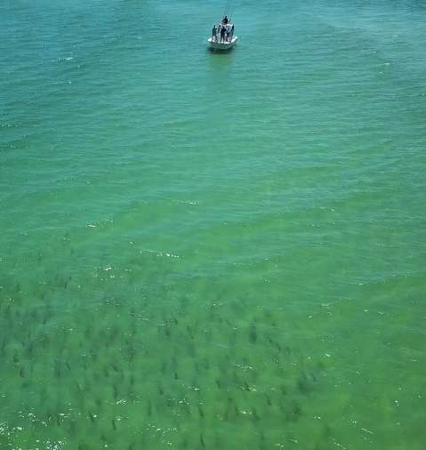 Boat out to Sea in Panama City Beach