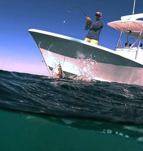 Chasin the sun