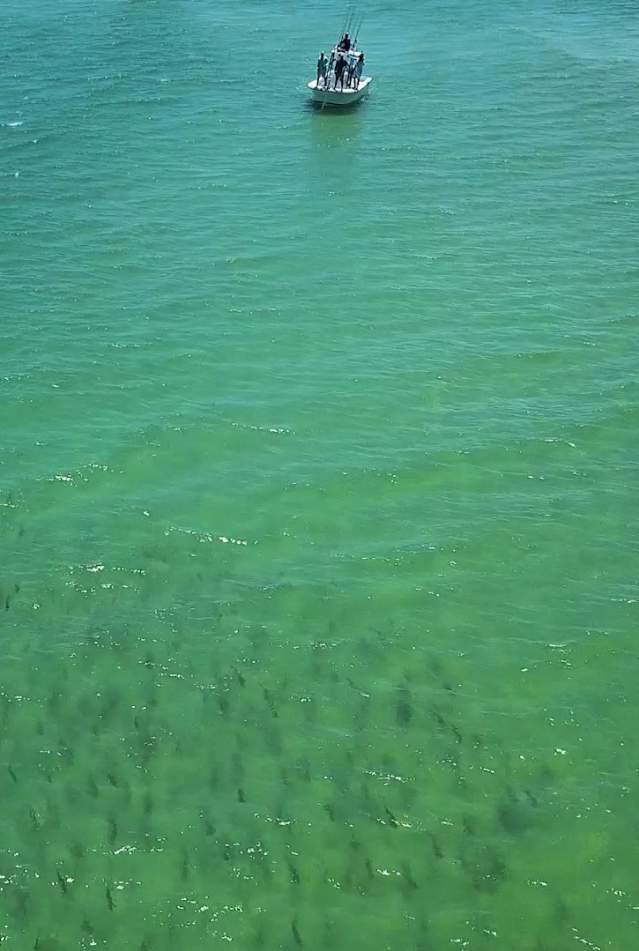 Boat out to Sea in Panama City Beach