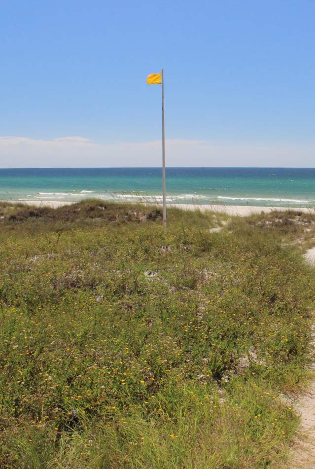 Beach Safety
