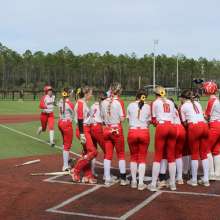 Fastpitch Softball