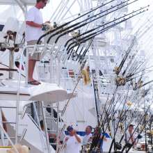 Billfish Tournament