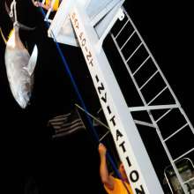 Billfish Tournament